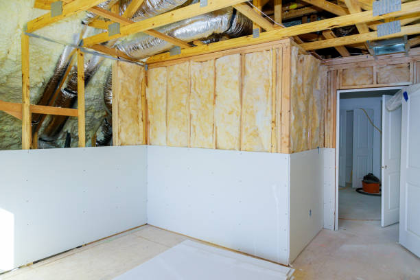 Best Wall Insulation Installation  in Valrico, FL