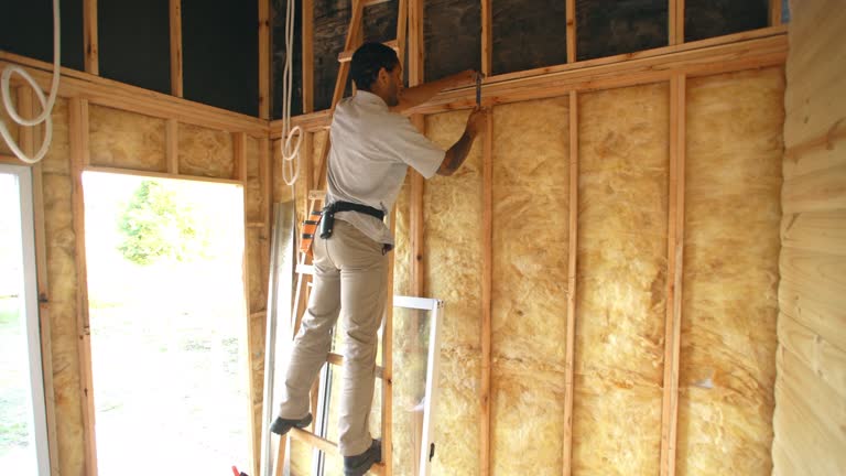 Best Spray Foam Insulation  in Valrico, FL