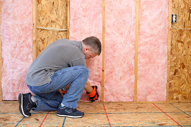 Best Attic Insulation Installation  in Valrico, FL