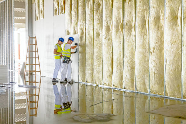 Professional Insulation in Valrico, FL